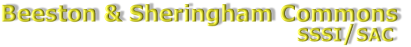 Beeston & Sheringham Commons                                              sssi/sac