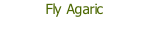 Fly Agaric